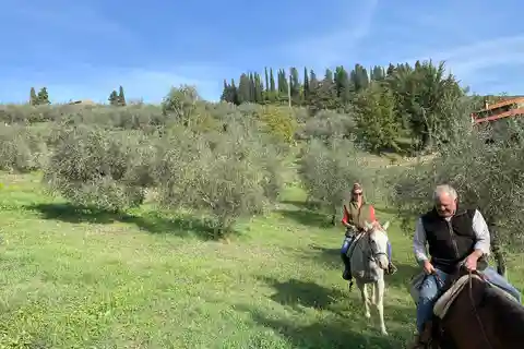 De Florença: Passeio a cavalo e prova de azeite e comida
