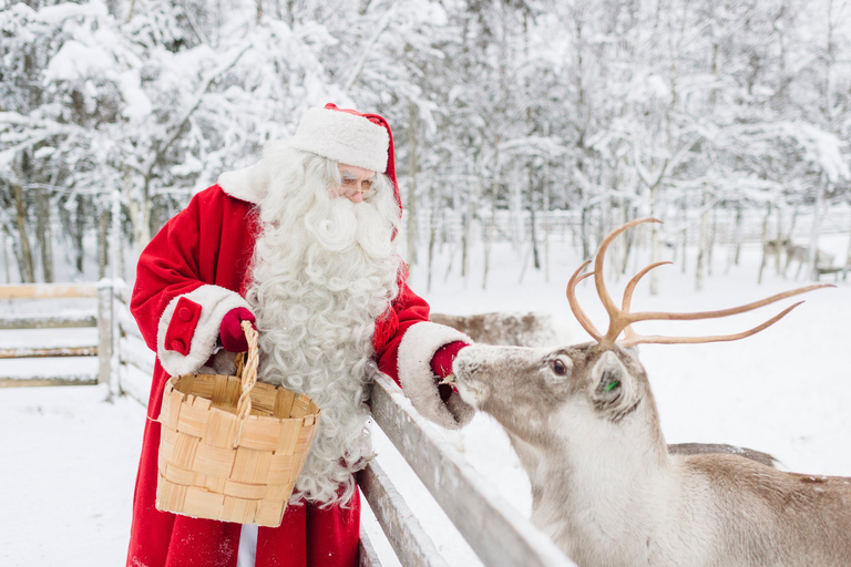 Rovaniemi: visita al villaggio di Babbo Natale con prelievo dall&#039;hotel