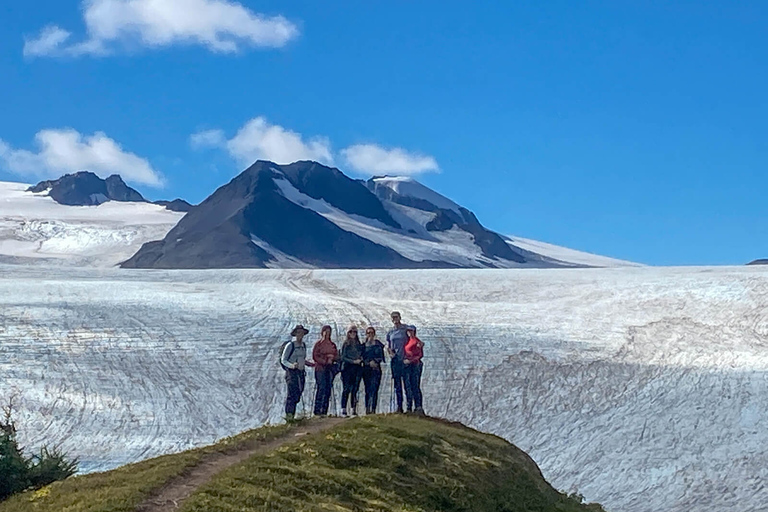 Au départ de Seward : randonnée sur le sentier du champ de glace Harding