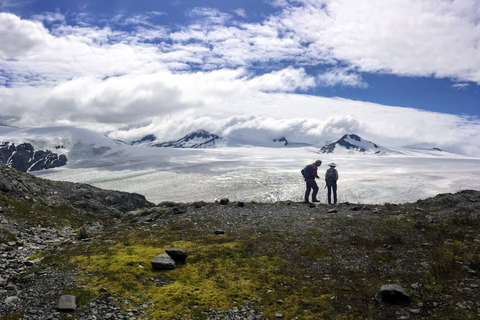 Au départ de Seward : randonnée sur le sentier du champ de glace Harding