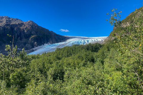 Au départ de Seward : randonnée sur le sentier du champ de glace Harding