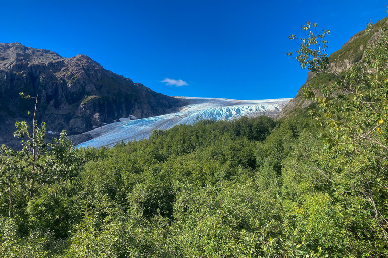 Au départ de Seward : randonnée sur le sentier du champ de glace Harding