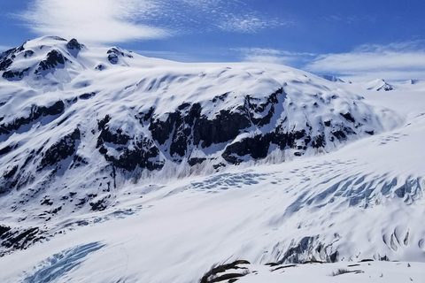 Au départ de Seward : randonnée sur le sentier du champ de glace Harding