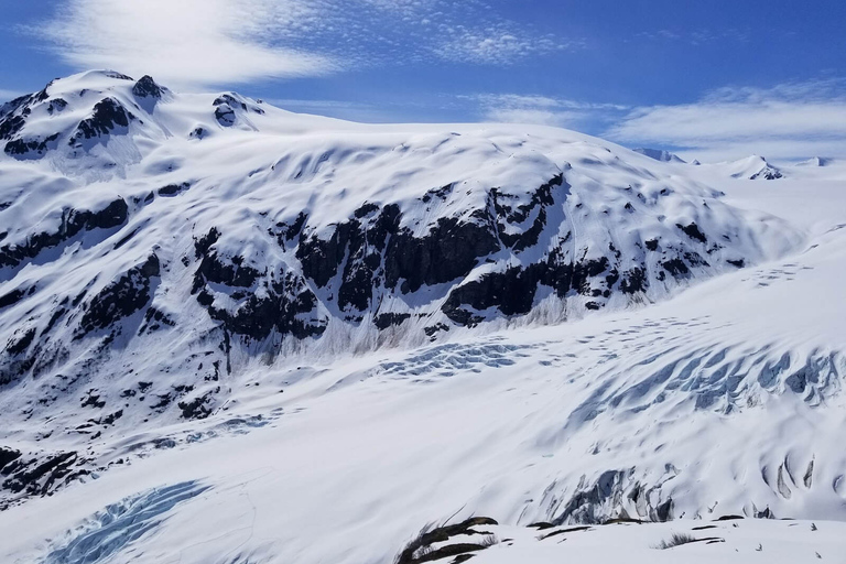Au départ de Seward : randonnée sur le sentier du champ de glace Harding