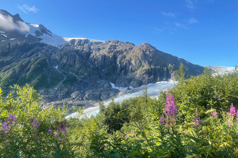 Au départ de Seward : randonnée sur le sentier du champ de glace Harding