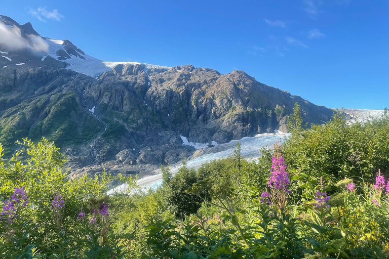 Au départ de Seward : randonnée sur le sentier du champ de glace Harding