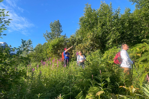 Au départ de Seward : randonnée sur le sentier du champ de glace Harding