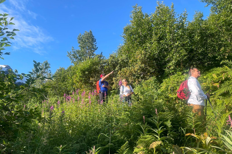 Au départ de Seward : randonnée sur le sentier du champ de glace Harding