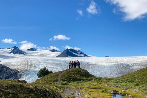 Au départ de Seward : randonnée sur le sentier du champ de glace Harding
