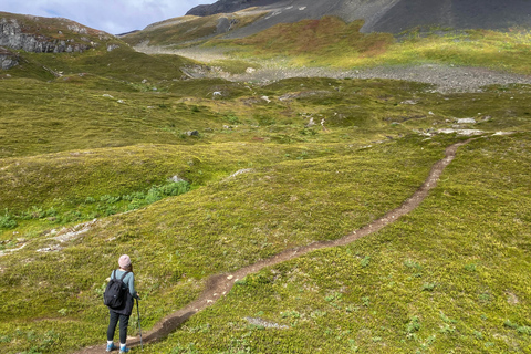 Au départ de Seward : randonnée sur le sentier du champ de glace Harding