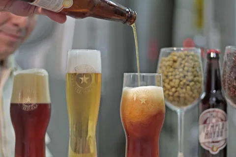 Tour de degustación por Ciudad de México y experiencia de cerveza artesanal