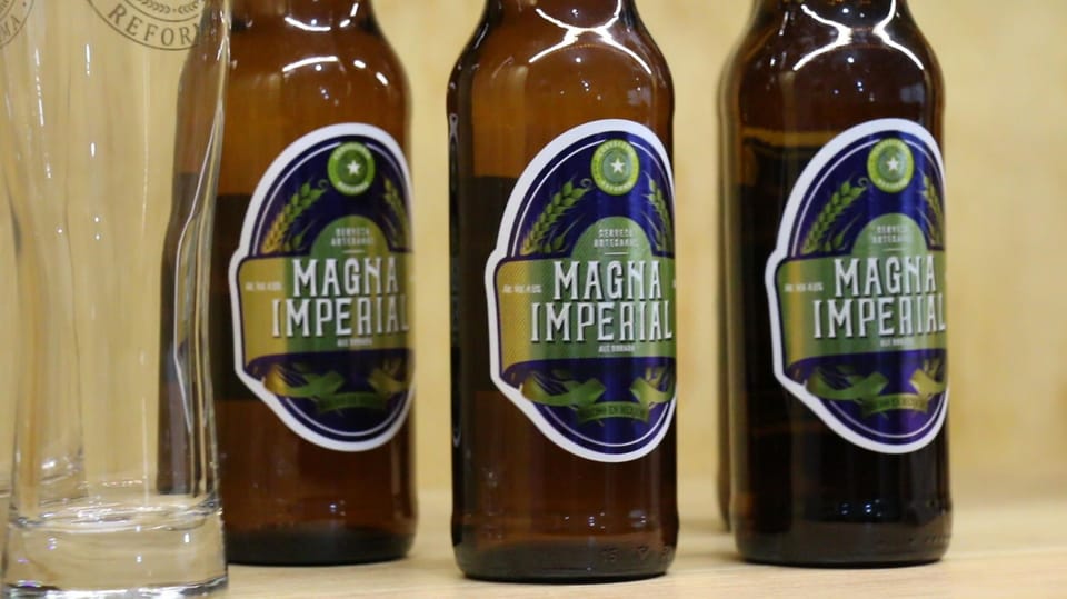 Mexico City Tasting Tour and Craft Beer Experience GetYourGuide