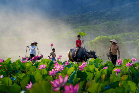 Hanoi: Ninh Binh Am Tien Cave or Trang An, Mua Cave & Hoa Lu Private Tour: Ninh Binh, Hoa Lu, Trang An, Mua Cave, Incense