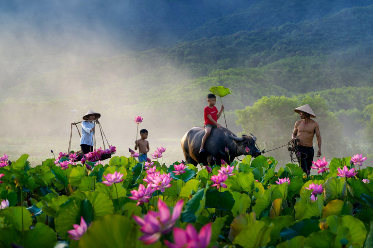 Hanoi: Ninh Binh Am Tien Cave or Trang An, Mua Cave & Hoa Lu Private Tour: Ninh Binh, Hoa Lu, Trang An, Mua Cave, Incense