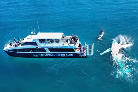 Fraser Island (K'gari): Abgelegene Insel und Whale Experience