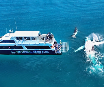 Fraser Island (K'gari): Remote Island and Whale Experience