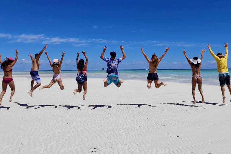 Île Fraser (K&#039;gari) : Île isolée et expérience avec les baleinesÎle Fraser (K&#039;gari) : île isolée et observation des baleines