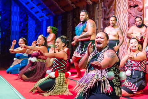 Waitangi: Treaty Grounds, Hāngi Dinner, and Concert Ticket
