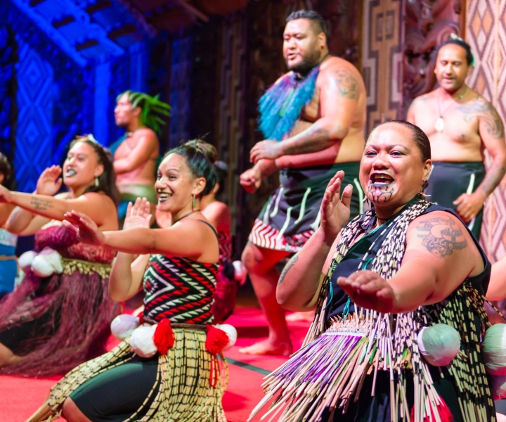 Waitangi: Treaty Grounds, Hāngi Dinner, and Concert Ticket