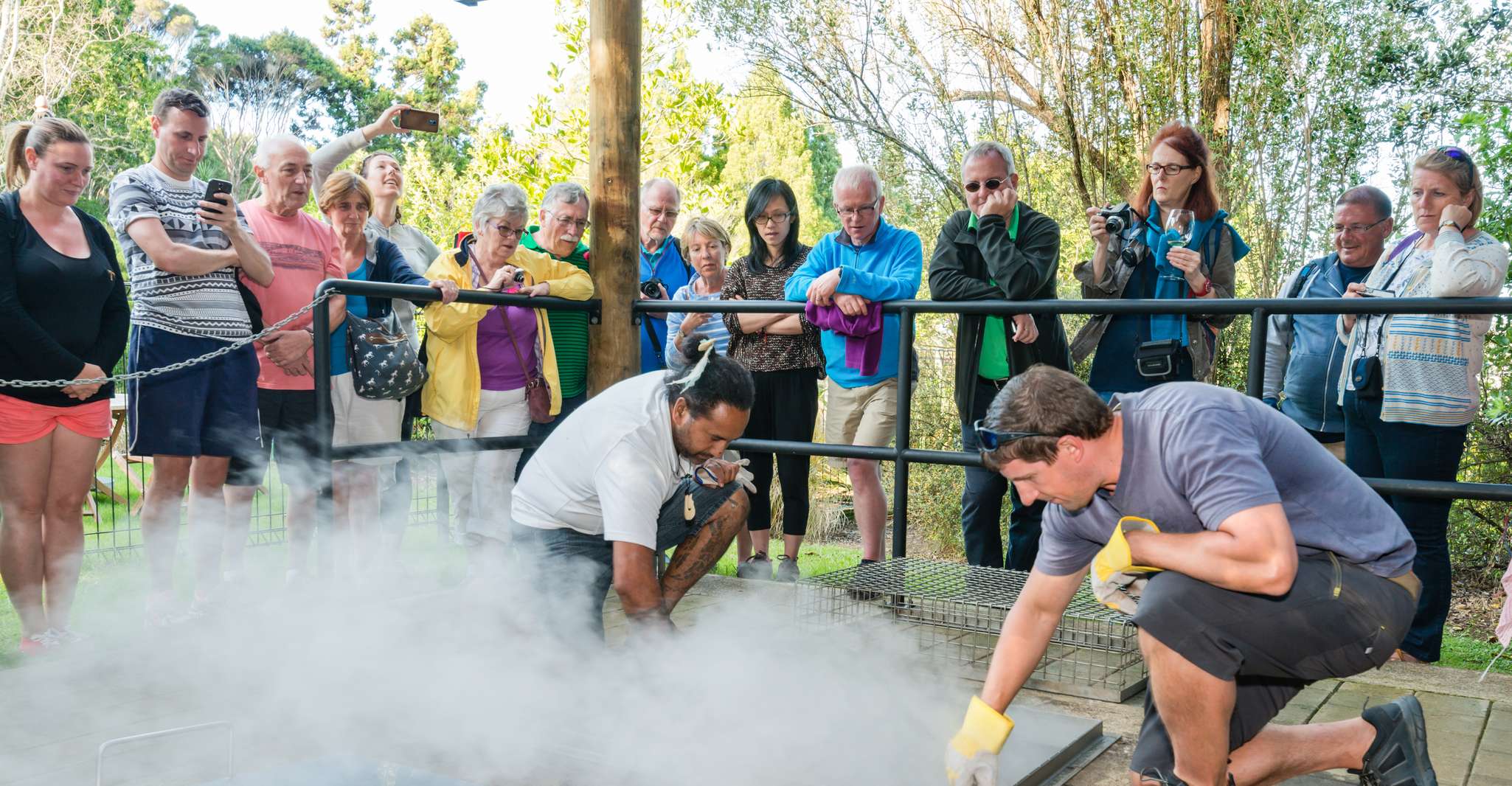 Waitangi, Pase combinado de Traty Ground and Concert Combo - Housity