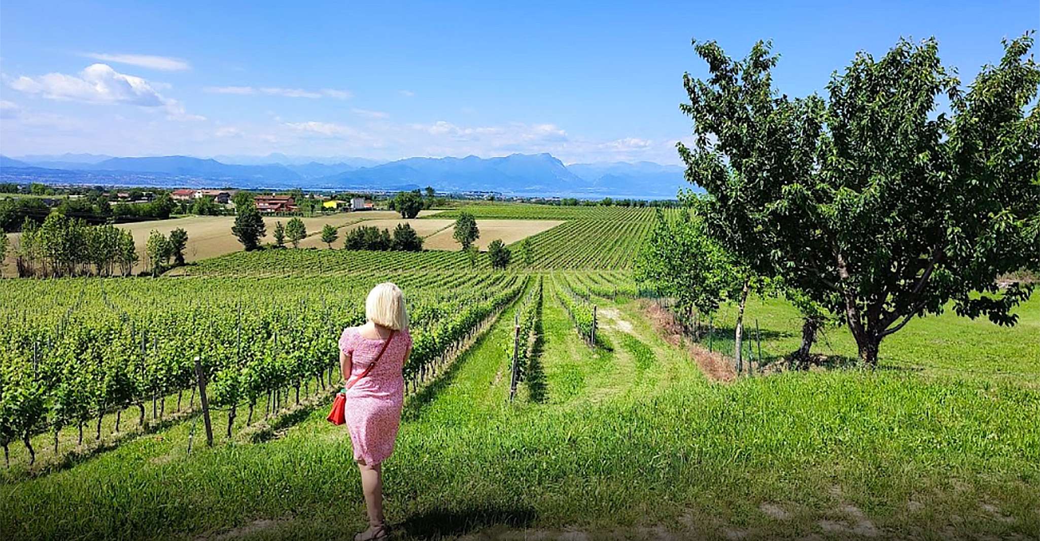 Lugana, Vineyards Tour e degustação de vinhos Lugana - Hizvo