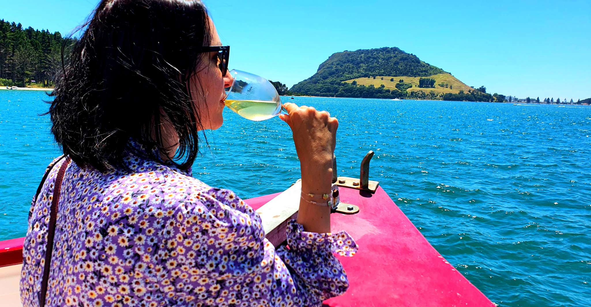 Tauranga, croisière dans le port du Mont Maunganui - Hizvo
