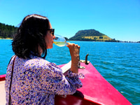 Tauranga, Mount Maunganui Harbour Sightseeing Cruise - Hizvo