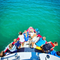 Tauranga, Mount Maunganui Harbour Sightseeing Cruise - Hizvo