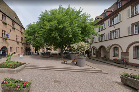 Kaysersberg: Visita privada a pieKaysersberg: Visita privada a pie en lenguas raras