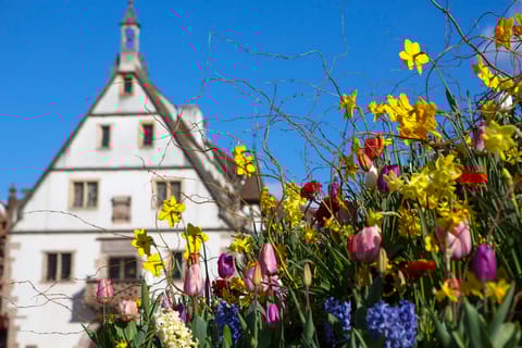 Obernai: Self-guided Treasure Hunt Game