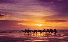 From Agadir: Sunset Camel Ride w/ Transfers, Optional Dinner