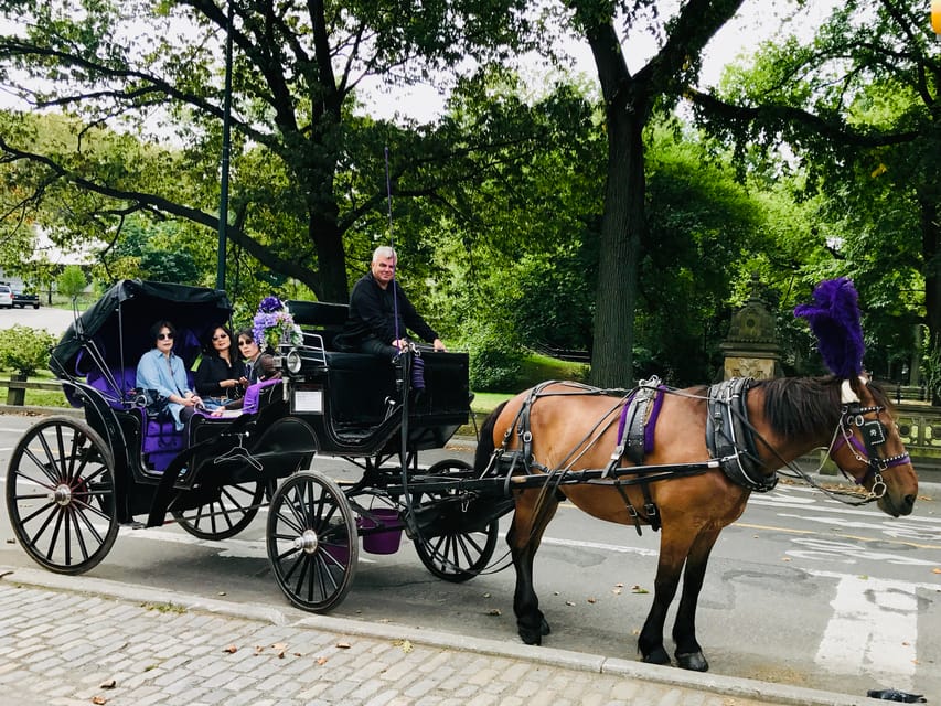 New York City: Central Park Private Horse and Carriage Tour | GetYourGuide