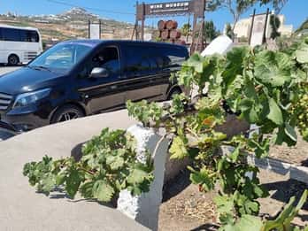 Santorinis «vinveier»: Privat vintur med smaksprøver