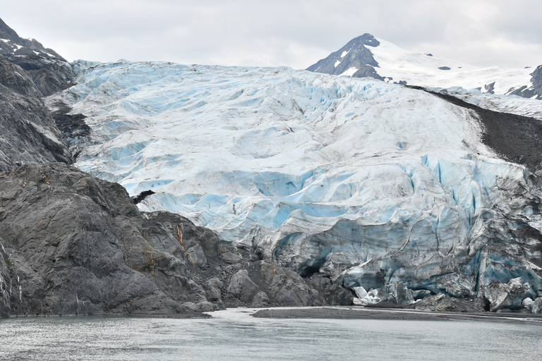 From Anchorage: Valley of Glaciers & Wildlife Center Tour