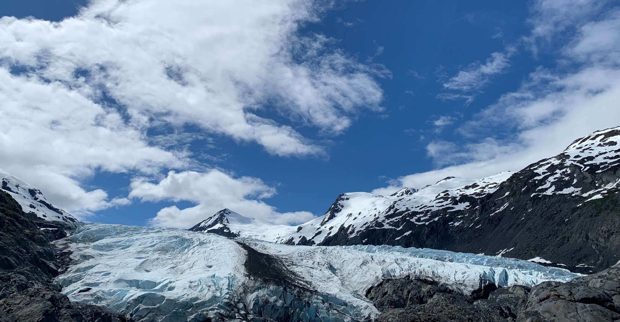 Depuis Anchorage, visite du centre de la vallée des glaciers et de la faune - Hizvo