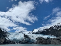 Depuis Anchorage, visite du centre de la vallée des glaciers et de la faune - Hizvo