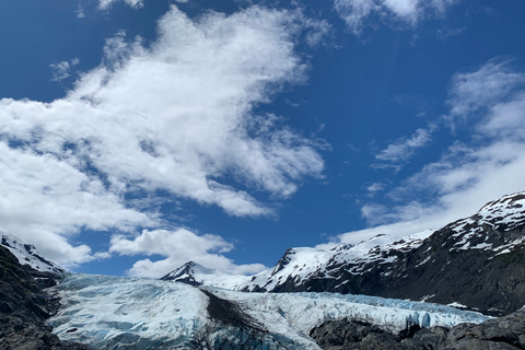 From Anchorage: Valley of Glaciers & Wildlife Center Tour