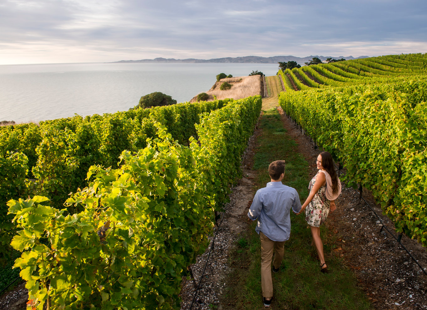 Marlborough halvdagstur i vin fra Blenheim