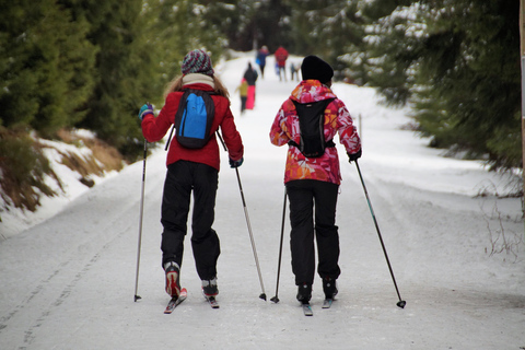 Borovets: curso de esquí de fondo de 2 horas con instructorBorovets: Prueba de 2 horas de Esquí de Fondo con Instructor