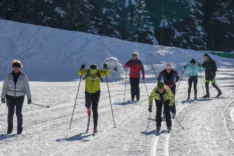 Borovets: curso de esquí de fondo de 2 horas con instructorBorovets: Prueba de 2 horas de Esquí de Fondo con Instructor