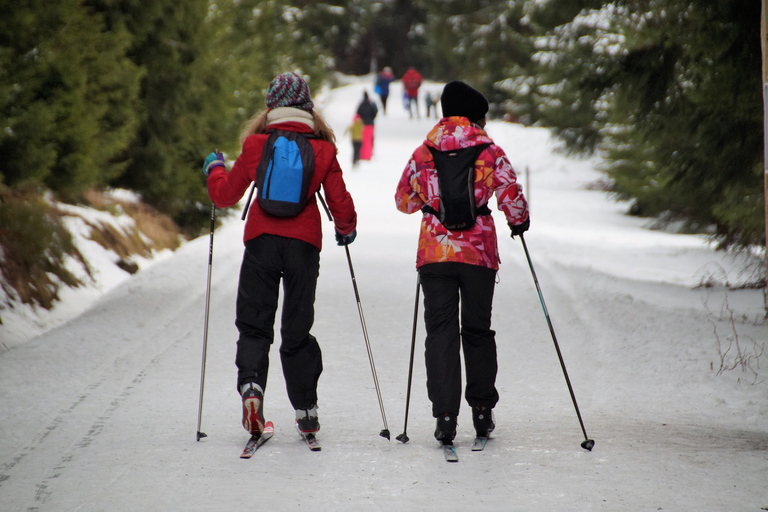 Borovets: curso de esquí de fondo de 2 horas con instructorBorovets: Prueba de 2 horas de Esquí de Fondo con Instructor