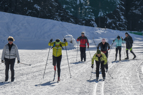 Borovets: curso de esquí de fondo de 2 horas con instructorBorovets: Prueba de 2 horas de Esquí de Fondo con Instructor