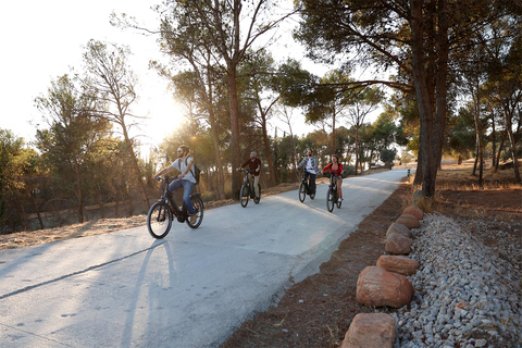 Granada: vistas de la puesta de sol de la Alhambra y Sierra Nevada en bicicleta eléctricaVisita privada en francés