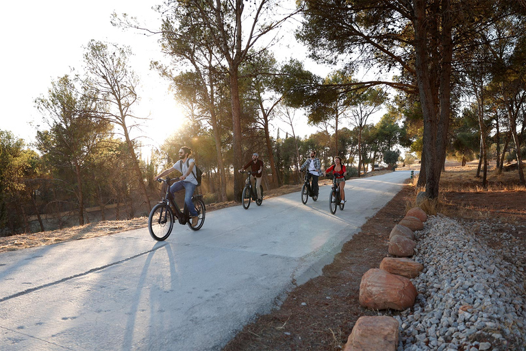 Granada: vistas de la puesta de sol de la Alhambra y Sierra Nevada en bicicleta eléctricaVisita privada en francés