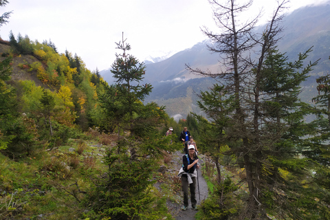 Svaneti Trekking Group Tour from Tbilisi: 8 Day Tour