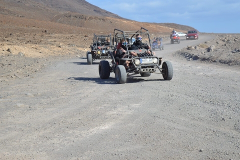 Fuerteventura: Jandía Naturpark & Puertito Buggy Tour