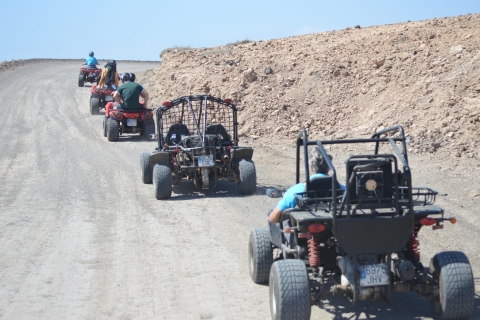 Fuerteventura: natuurpark Jandía en de Puertito-buggytour