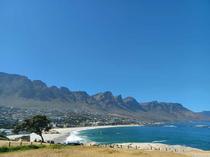 Cape Point & African Penguin Explorer – Half-Day Experience