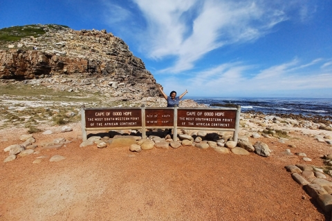 Visite guidée privée de la Montagne de la Table et du Cap de Bonne Espérance eLe Cap : Visite guidée privée de la Montagne de la Table et des pingouins