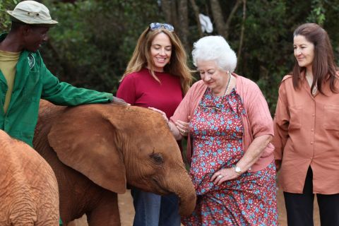 Gita di un giorno all'orfanotrofio degli elefanti, al centro delle giraffe e a Karen Blixxen